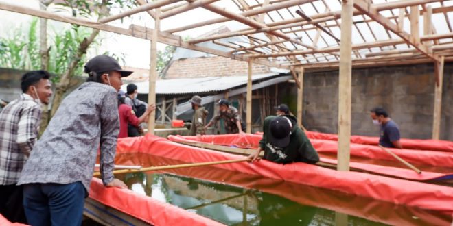 Ciptakan Lapangan Kerja Pertamina Gelar Pelatihan Budidaya Ikan Lele